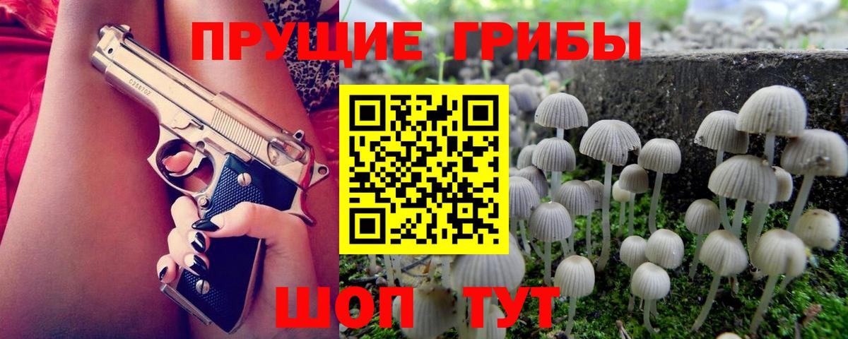 Галлюциногенные грибы Psilocybine cubensis Вольск